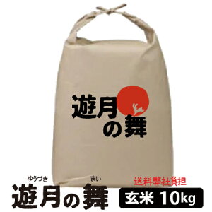 yV zV̕ ā@10kgɌ AnY V yԌzyʌzy\̔zy͂wsz