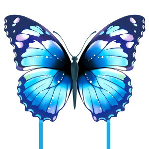 Jt Ct o^tCJCg qƑl ȒPɔ΂^VOC 300tB[g̃XgOJCgnht