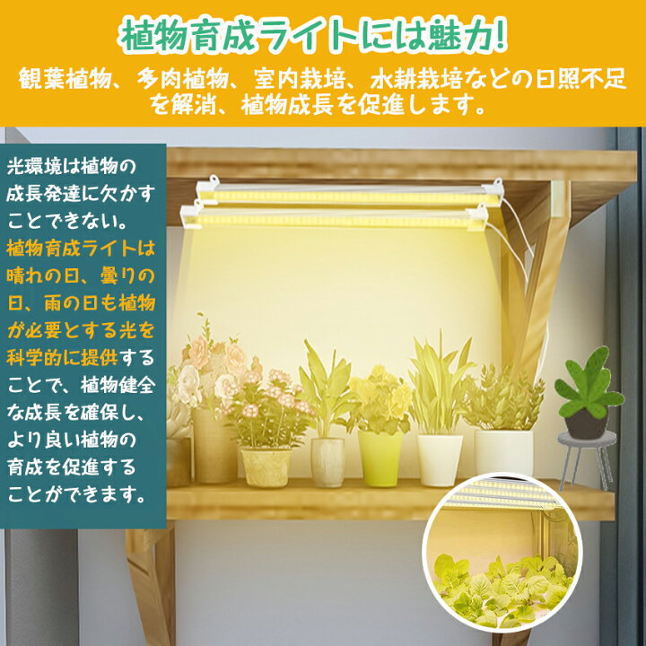 楽天市場】植物育成ライト led シーリング 育成ライト 植物 ライト 
