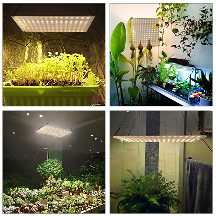 植物育成ライト LED育成ライト  2段階調光 フルスペクトル 水耕栽培ライト