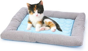 ⊴~pbh ybgp}bg ėp đ΍ Lpxbh V[g ACXVNn ⊴  킢 ΍ MǑ΍  u₩ Ђ _炩   \t@[ 