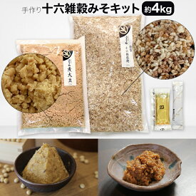 手作り 十六雑穀みそキット 4kg【送料無料】混ぜるだけ 国産 麹 こうじ 減塩 初心者向け 家庭用 自家製 味噌 みそ 自家製 発酵 セット はじめて ふかほり邸
