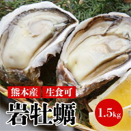 【熊本県上天草産】岩牡蠣（殻付き 生食可）約150g×10個入
