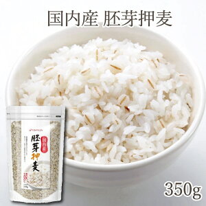 ��艟�� 350g �����Y ���� �H���@�� ���� �}�O�l�V�E�� �S �r�^�~�� �����͂� ���N