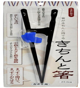 CV_ ̂T|[g Ɣ Ƃȗp 23cm p