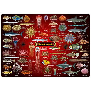 ザ・アクセス 下敷き 海の危険生物 大全 水族館 A4