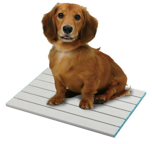 }J N[ЂA~{[h M DP-803