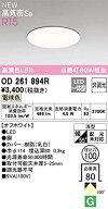 オーデリック ダウンライト 【OD261894R】【OD 261 894R】