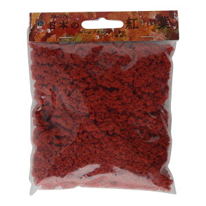 Ebhh E V[jbNX×KATO {̍gt [Wvc  [ 24-379 S͌^pi