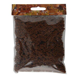 Ebhh E V[jbNX×KATO {̍gt [Wvc 炿 ͒ 24-376 S͌^pi