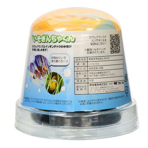 J~n^ 񂿂Ⴍ IW M TCY