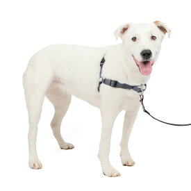 PetSafe（ペットセーフ） 犬用 引っ張り防止ハーネス デラックスイージーウォークハーネス スチールシルバー×ブラック M/L