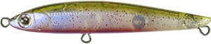 �o�X�f�C(Bassday) S.P.M 55 C-443 �o�`���b�h����