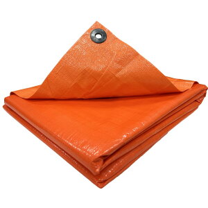 ^JCN #3000 IWV[g 2.7m×3.6m OS-05 h Ԍ W[V[g h ~