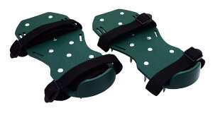 V(Takagi) Ő̃GA[VXp CN ŐXp CN K[fXp CN [Xp CN ͂ĕŎŐ ړy n̒ʋCUP 4907052762084