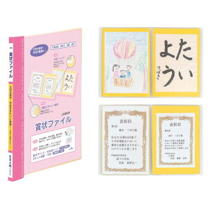 CC ܏t@C B4 sN LSB80P