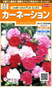 TJ^̃^l 7100 J[l[VV{[WCAg~bNX 00907100