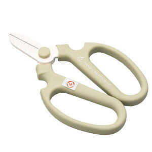 ⌹(Sakagen)  nhNG[V F170 tbfR[eBO 17×11cm { AgXO[ 43142