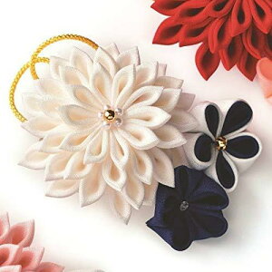 ^JM@(Takagi Seni) Panami pi~߂׍HLbg w܂ݍ׍H ߂̃u[`  LH-453x