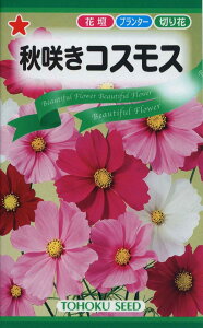 ������Ѓg�[�z�N �H�炫�R�X���X 00471