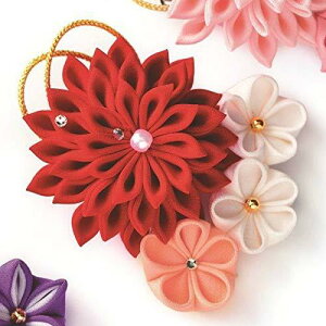 ^JM@ Panami ߂׍HLbg ܂ݍ׍H ߂̃u[`  LH-450 ^JM@