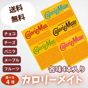 【買い回り】【ポスト投函】 カロリーメイト ブロック アソートパック 4本入り×4箱 5種類の中から4つ選べる 非常食 携帯食 保存食 チョコ メープル フルーツ チーズ バニラ 大塚製薬 朝食 昼