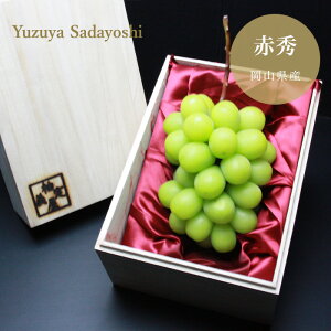 RY (VC}XJbg) ԏG 1[y˔zyz   700 g R VC}XJbg ԏG G  Â i x  嗱 j [ 햳  ō j 