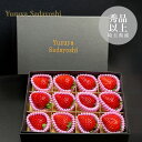 埼玉県産 あまりん 12粒入 / 甘い ギフト フルーツ 苺 高級 糖度 イチゴ 贈答用 大 ブランドいちご 埼玉いちご