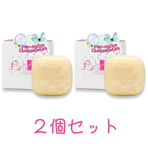 ^[pbNvX̂ s  fP[g][ 2Zbg u\[v HPi`\[v 100g×2 t[ WE L  q ϕi VR \[v s