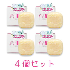 ^[pbNvX̂ s fP[g][ 4Zbg  u\[v HPi`\[v 100g×4 t[ WE L  q ϕi VR \[v s