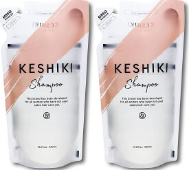 2袋セット KESHIKI ケシキ シャンプー 詰め替え クリックポスト発送のみ 送料無料 代引不可 420ml 美容室 美容院 アミノ酸 いい香り 美容液 天然由来成分 サロン専売 ヘアトリートメント 美容室 サロン専売品 美容院 ヘアケア ヒートケア ダメージ ＆NINE アンドナイン