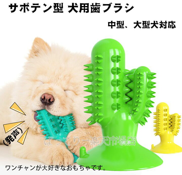 楽天市場 サボテン型 犬用歯ブラシ 歯磨きシート 犬用おもちゃ 噛むおもちゃ 無毒無臭 耐久性 中型 大型犬対応 発声おもちゃ 口腔の清潔 犬の健康ケアに ばってりー 楽天市場店
