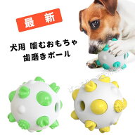 【P5倍！ス-バ-SALE！ 200円OFFクーポン】最新犬用 噛むおもちゃ 歯磨きボール 噛むボール pet ペットお…
