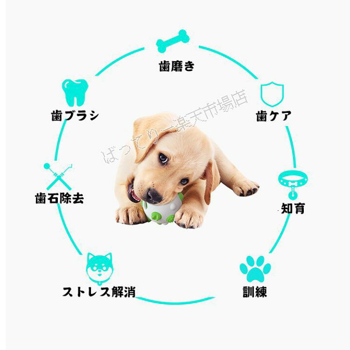 犬おもちゃ 犬 素材犬遊び 投げるボール 耐久性 インタラクティブ玩具 噛む ボール 知育玩具 ペット用品 面白い 清潔 おもちゃ