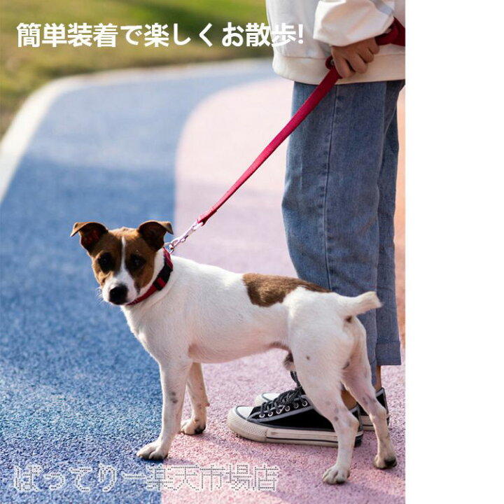 楽天市場 リードと首輪2点セット 犬用 首輪 リード リードセット ナイロン製 丈夫ドック用品 犬 ドッグ リード 首輪 大型犬 中型犬 小型犬 ドッググッズ ペット用 オレンジ ばってりー 楽天市場店