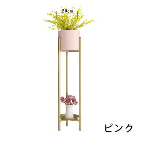 yI 2000~OFFN[|zt[X^h ACA AؔI ԑ 2i   O  x_ X u |bN K[fjObN v^[ |bg K[