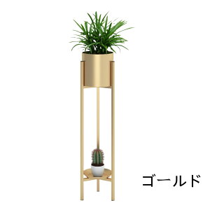 t[X^h ACA AؔI ԑ 2i   O  x_ X u |bN K[fjObN v^[ |bg K[fbN v^[X^h 