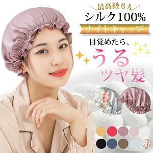 iCgLbv VN100 ԕ OwA  VNLbv VR wALbv VN 6A  ێ  AQp Xq pT  } wAPA S^Cv wALbv ԕ M L