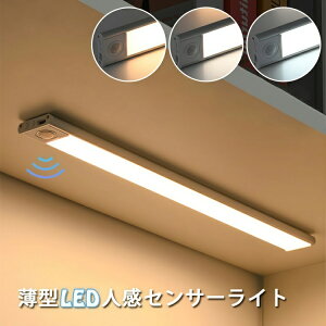 lZT[Cg LEDZT[Cg 20cm    lZT[ LEDCg  o[Cg  Hsv Ǌ|Ɩ  퓔 