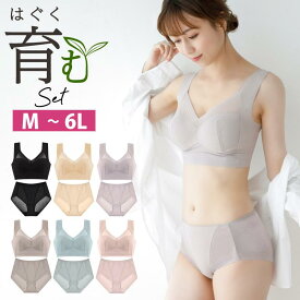 ブラジャー ショーツ セット ノンワイヤー 育乳 脇高 ナイトブラ バストアップ 20代 30代 40代 50代 上下セット 大きいサイズ 下着セット 美ピット bepit