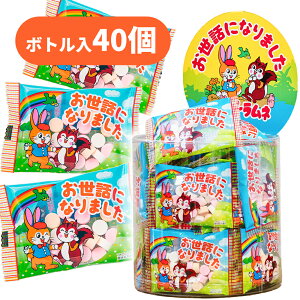 yz zƐEꂪΊɁI ސE َq bɂȂ܂ Nbs[l 20 / 30 / 50 / 100 | Yx މ@ ސEَq   lߍ킹  v`Mtg ΂܂ 