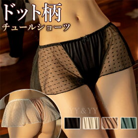 【新規10％OFFクーポン有】セクシーショーツ セクシー シースルー Tバック 水玉 ドット柄 レディースショーツ エロパン ランジェリー 透け透け エロい下着 セクシー ランジェリー エロ下着 セクシーランジェリー 大人 レディースショーツ ウエストゴム