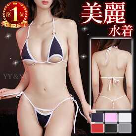 【2000円OFFクーポン有】マイクロビキニ セクシーランジェリー 透ける水着 テディ 穴あき下着 レオタード 水着 コスチューム 大きいサイズ セクシー ランジェリー 超過激 テディ レオタード 大人 エロい服 エロい下着 レディース 可愛い