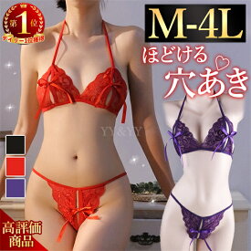 【1100円OFFクーポン有】セクシーランジェリー 過激 大きいサイズ 穴あき下着 セクシー下着 エロ下着 ランジェリー 上下セット 下着 ブラセット レディース コスチューム セクシー ランジェリー 下着 セクシー ランジェリー 女性 Gストリング 穴あき