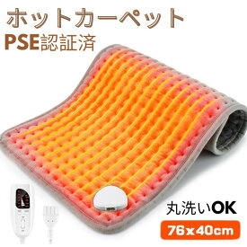 【お買い物マラソンラスト5時間限定クーポンで2980　P5倍】即日発送、ホットカーペット ミニ【省エネ・速暖】電気カーペット 一人用 ホットマット 軽量 コンパクト 足元ヒーター 洗える 洗濯可能 76×40cm 6段階温度調節 防寒保温 ホットマット タイマー機能付き