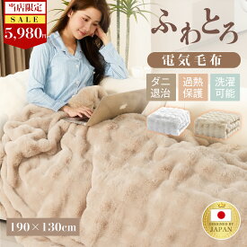 【クーポンで最安5980円】【正規品】ふわとろ毛布 電気毛布 掛け敷き モコモコブランケット 極上ふわとろ 毛布ブランケット もこもこ ふわふわ 即暖 保温 電気毛布 ひざ掛け シングル 電気ブランケット 洗える ふわもこ 2枚合わせ毛布 厚手 あったかい