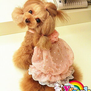ワンピース 犬用 ペット服 ペットの人気商品 通販 価格比較 価格 Com
