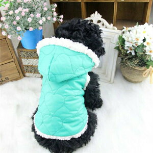 Jt_ExXg^p􁚃Z[ gCv[h ps ` [L[ tĐV EFA  