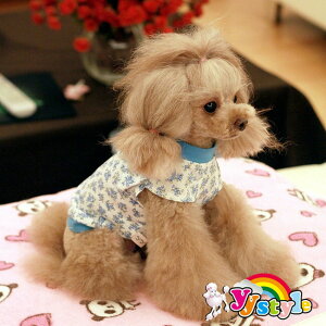 IWiJWAԕ^NgbvETVclC2FWJ^p􁚃Z[ gCv[h ps ` [L[ tĐV EFA  