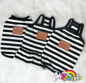 IWilCԃ{[_[C ^NgbvEL~\[EL~s[X^p􁚃Z[ gCv[h  `  [L[ ps  ėp L~s  L